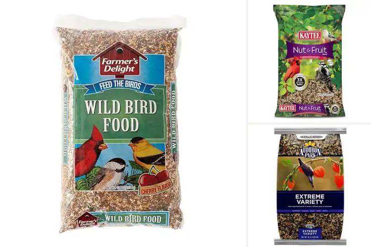 Detailed view of Best Bird Seeds For Feeders
