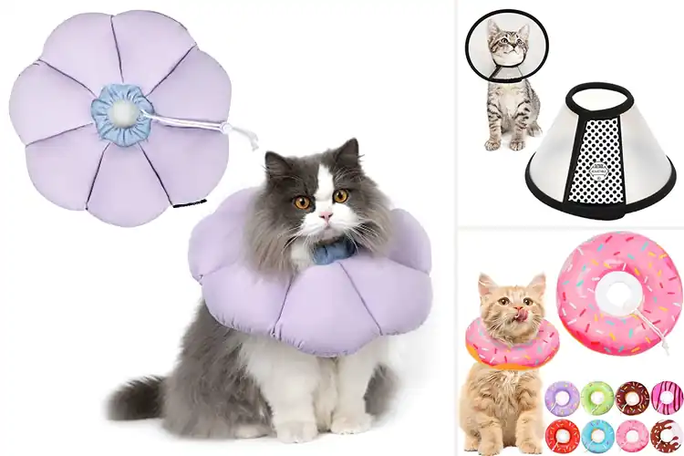 Detailed view of Best Cat Cone Collars