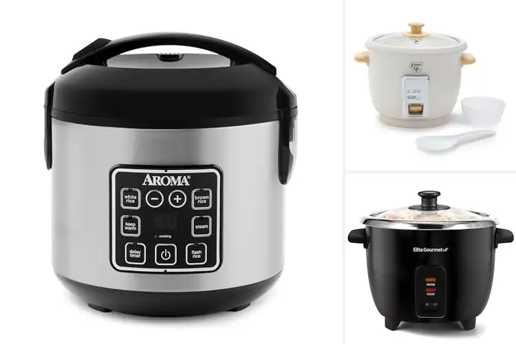 Detailed view of Best Easy Clean Rice Cookers