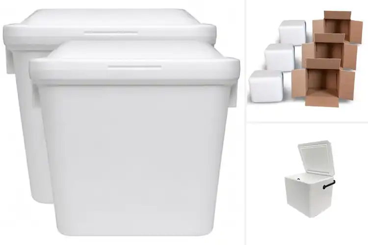 Detailed view of Best Foam Coolers for Fresh Outdoor Fun