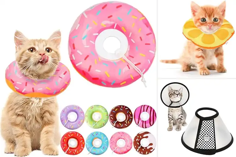 Detailed view of Best Kitten Recovery Collars: Top 10 Picks for Safe Healing