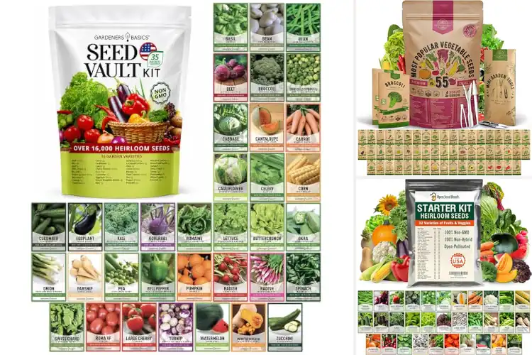 Detailed view of Best Non GMO Seeds
