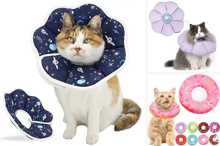 Detailed view of Best Soft Cat Cones: Top 10 Picks for Comfortable Healing