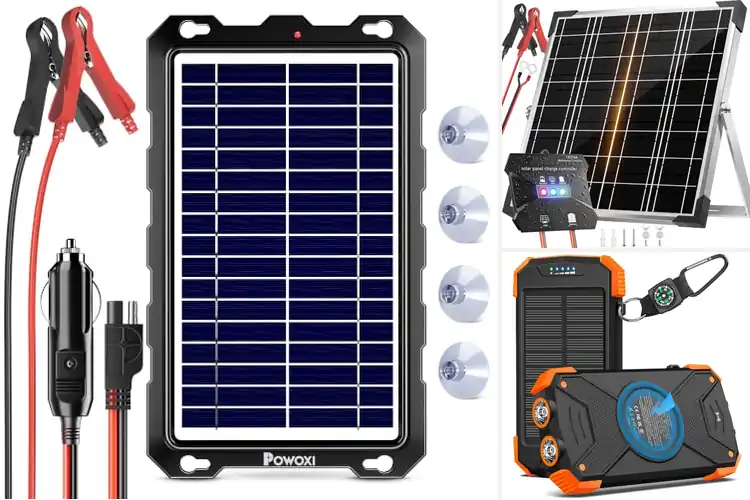 Detailed view of Best Solar Battery Chargers