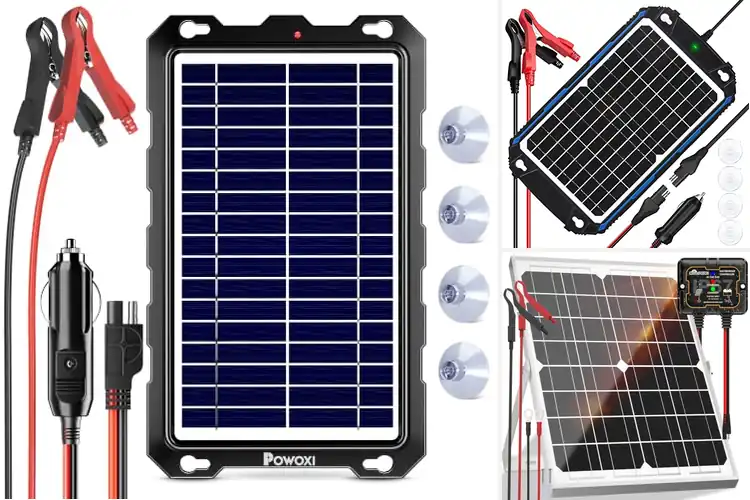 Detailed view of Best Solar Battery Maintainers