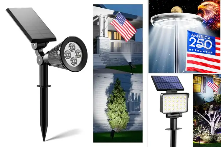 Detailed view of Best Solar Flag Lights