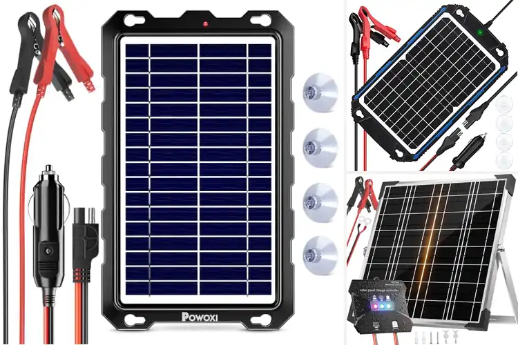 Detailed view of Best Solar Trickle Chargers
