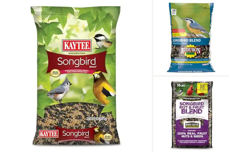 Detailed view of Best Songbird Foods: Expert Blends for Cardinals & Finches