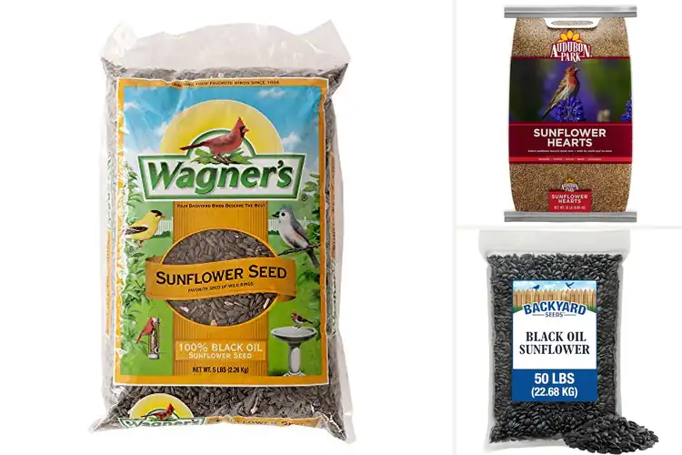 Detailed view of Best Sunflower Bird Seeds: Attract More Birds Fast