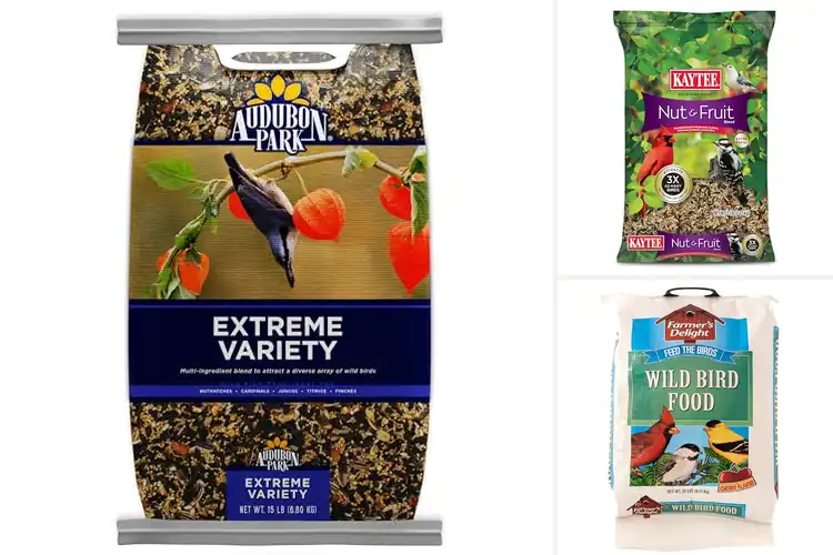 Detailed view of Best Wild Bird Seeds: Top 10 Picks for a Vibrant Backyard